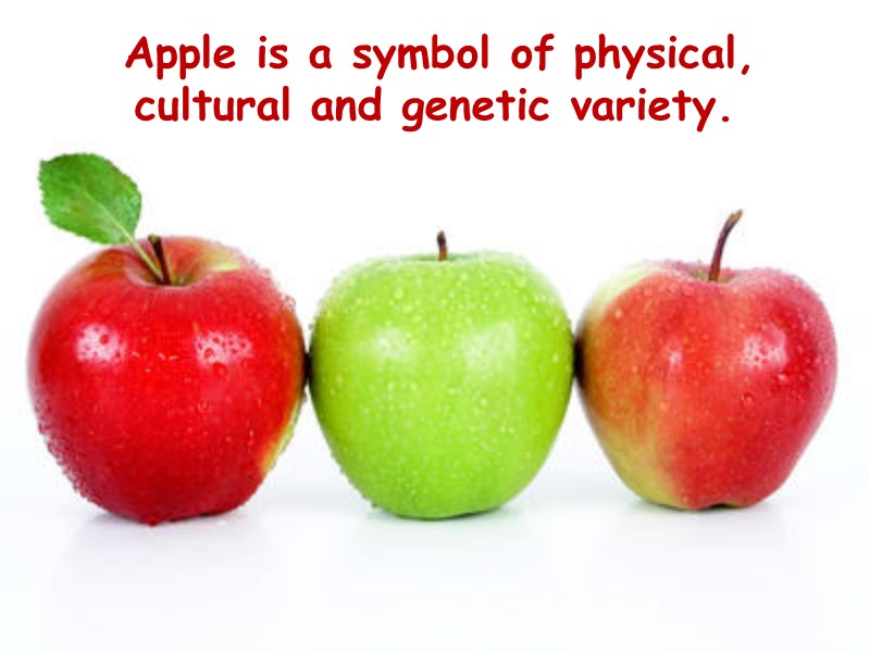 Apple is a symbol of physical, cultural and genetic variety.